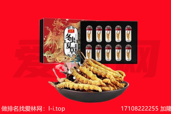 三明建宁县回收虫草.jpg